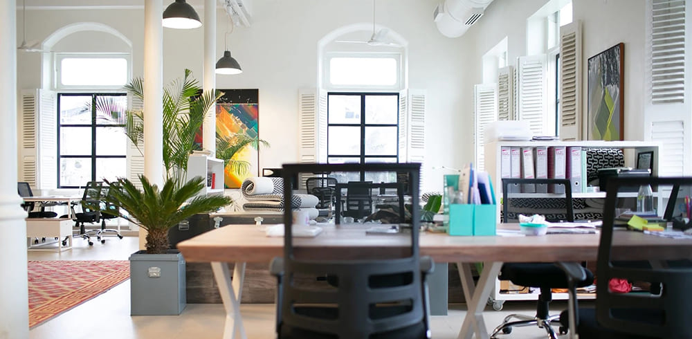 辦公室新買的家具甲醛超標(biāo)了，我們要怎么辦